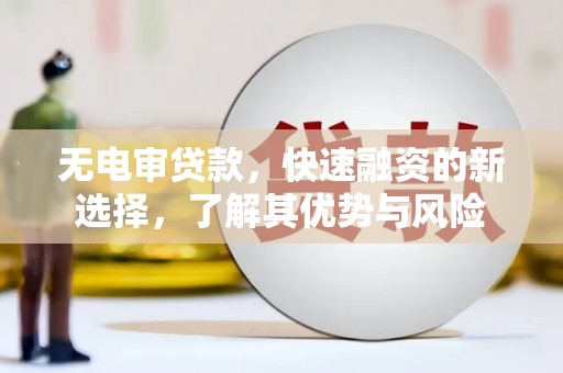 平陆无电审贷款，快速融资的新选择，了解其优势与风险