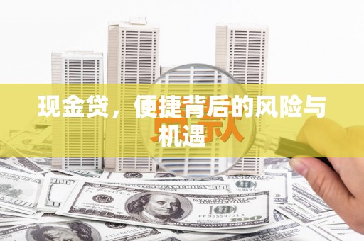 平陆现金贷，便捷背后的风险与机遇
