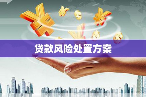 平陆贷款风险处置方案