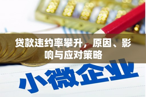 平陆贷款违约率攀升，原因、影响与应对策略