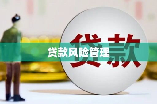 平陆贷款风险管理
