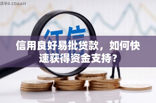 平陆信用良好易批贷款，如何快速获得资金支持？