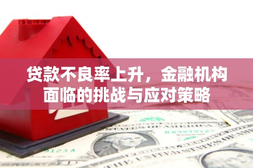 平陆贷款不良率上升，金融机构面临的挑战与应对策略