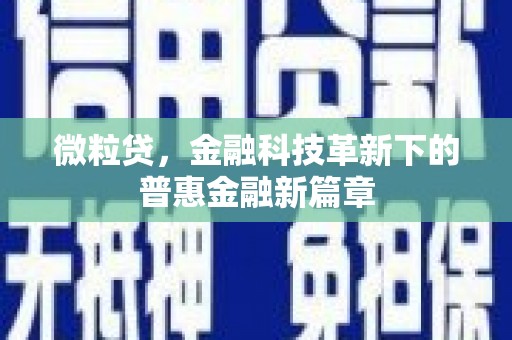 平陆微粒贷，金融科技革新下的普惠金融新篇章