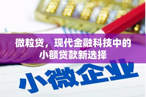 平陆微粒贷，现代金融科技中的小额贷款新选择