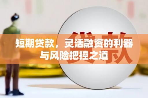 平陆短期贷款，灵活融资的利器与风险把控之道