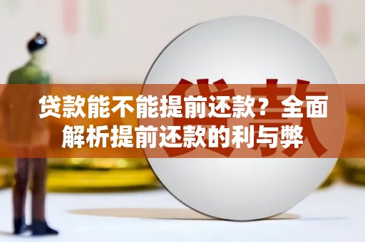 平陆贷款能不能提前还款？全面解析提前还款的利与弊
