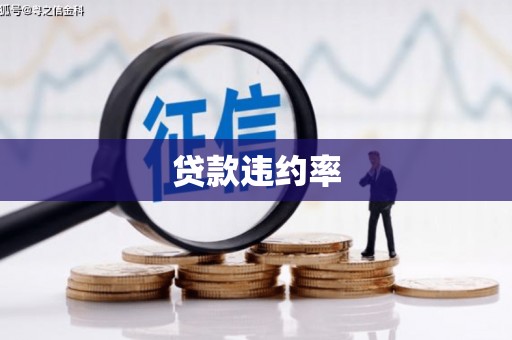 平陆贷款违约率