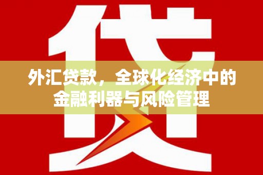 平陆外汇贷款，全球化经济中的金融利器与风险管理