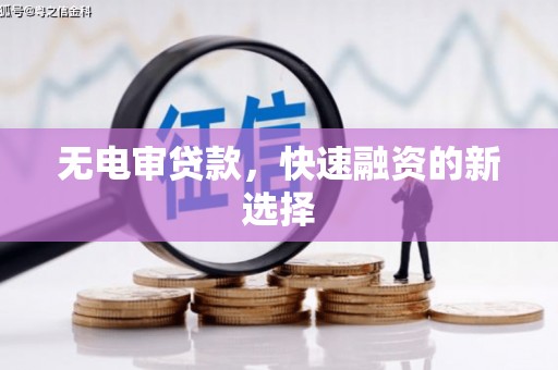 平陆无电审贷款，快速融资的新选择