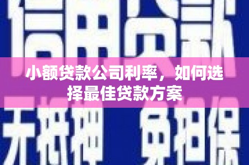 平陆小额贷款公司利率，如何选择最佳贷款方案