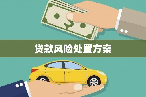 平陆贷款风险处置方案