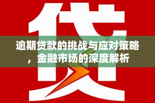 平陆逾期贷款的挑战与应对策略，金融市场的深度解析