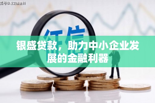 平陆银盛贷款，助力中小企业发展的金融利器