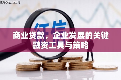 平陆商业贷款，企业发展的关键融资工具与策略