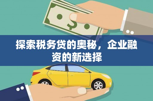 平陆探索税务贷的奥秘，企业融资的新选择