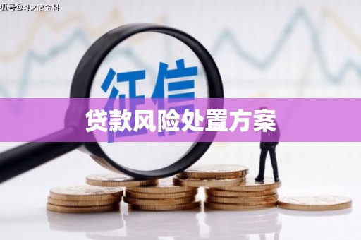 平陆贷款风险处置方案