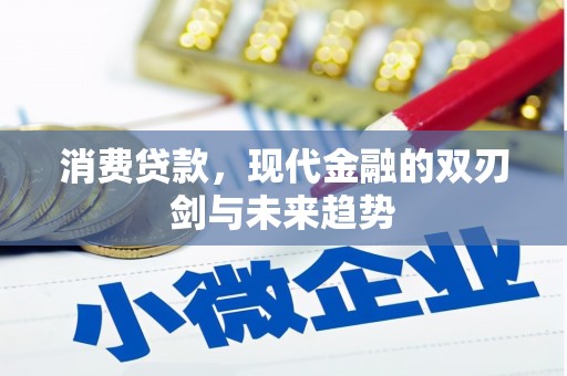 平陆消费贷款，现代金融的双刃剑与未来趋势