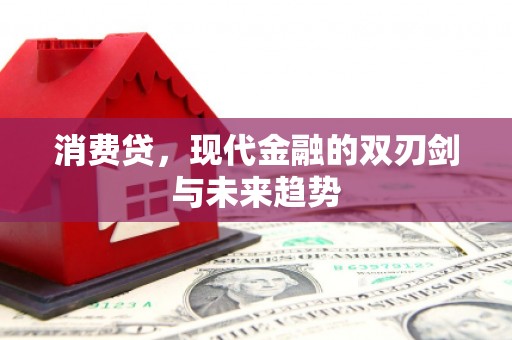 平陆消费贷，现代金融的双刃剑与未来趋势