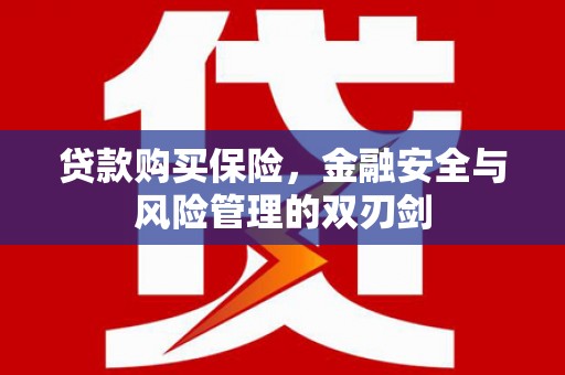平陆贷款购买保险，金融安全与风险管理的双刃剑