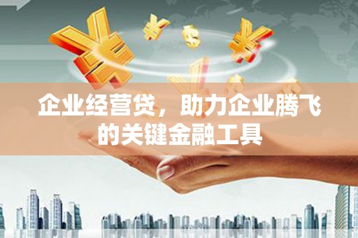 平陆企业经营贷，助力企业腾飞的关键金融工具