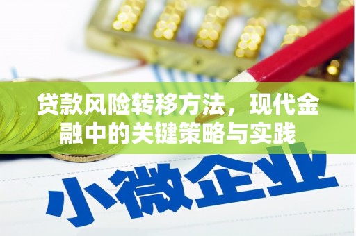 平陆贷款风险转移方法，现代金融中的关键策略与实践