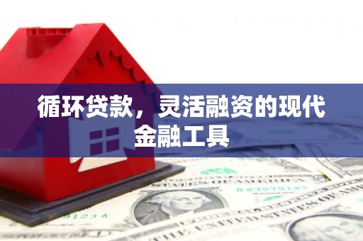 平陆循环贷款，灵活融资的现代金融工具