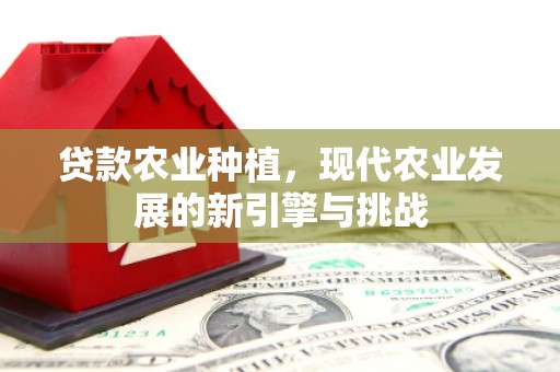 平陆贷款农业种植，现代农业发展的新引擎与挑战