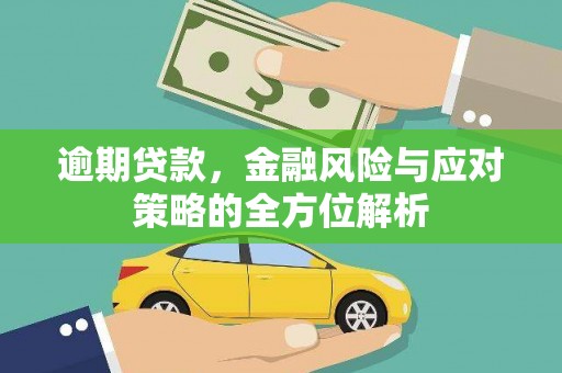 平陆逾期贷款，金融风险与应对策略的全方位解析