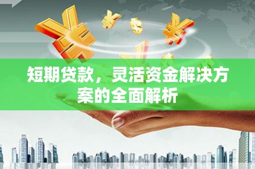 平陆短期贷款，灵活资金解决方案的全面解析