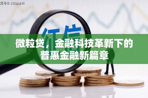 平陆微粒贷，金融科技革新下的普惠金融新篇章