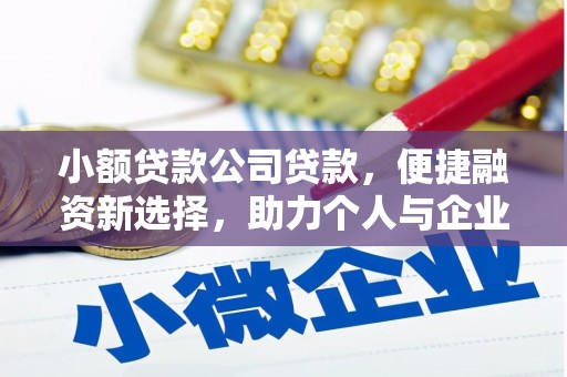 平陆小额贷款公司贷款，便捷融资新选择，助力个人与企业成长