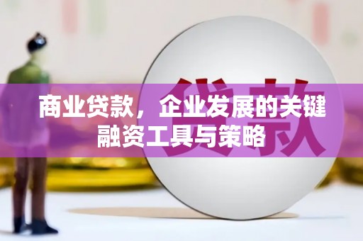 平陆商业贷款，企业发展的关键融资工具与策略