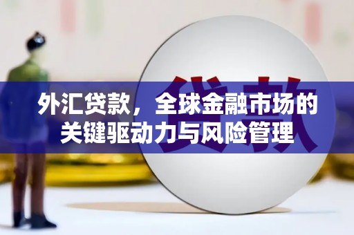 平陆外汇贷款，全球金融市场的关键驱动力与风险管理