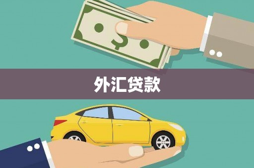 平陆外汇贷款