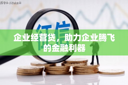 平陆企业经营贷，助力企业腾飞的金融利器