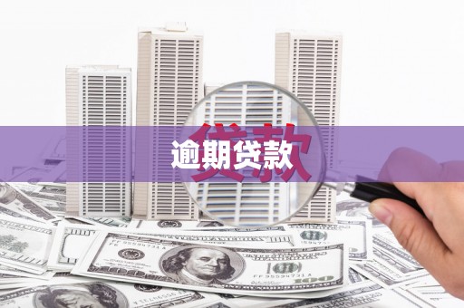 平陆逾期贷款