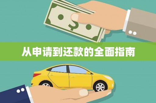 平陆从申请到还款的全面指南