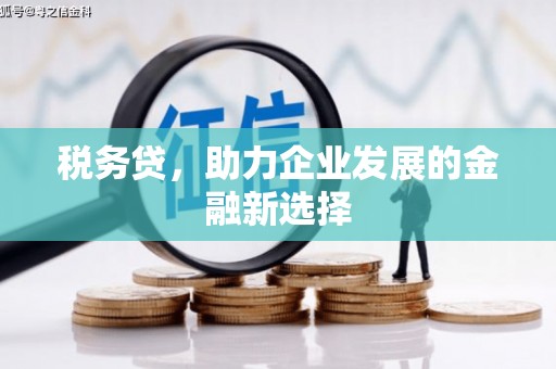 平陆税务贷，助力企业发展的金融新选择