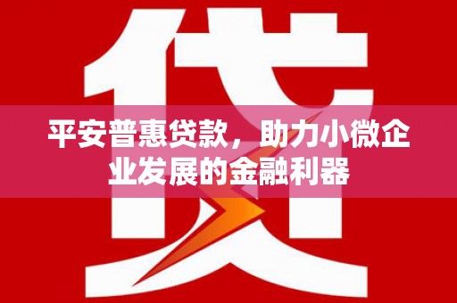 平陆平安普惠贷款，助力小微企业发展的金融利器