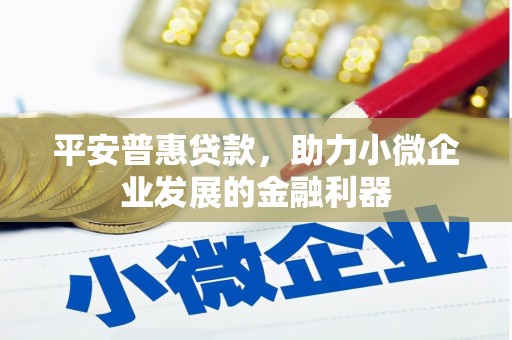 平陆平安普惠贷款，助力小微企业发展的金融利器