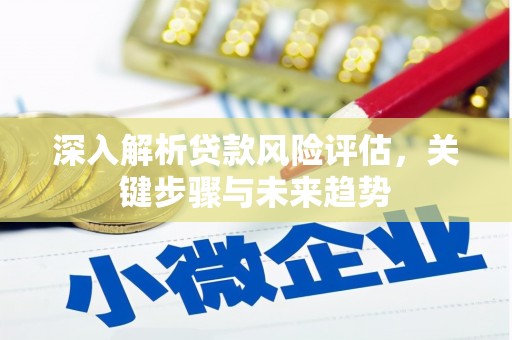 平陆深入解析贷款风险评估，关键步骤与未来趋势