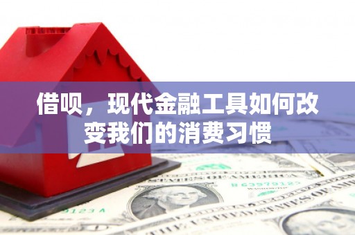 平陆借呗，现代金融工具如何改变我们的消费习惯