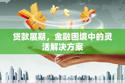 平陆贷款展期，金融困境中的灵活解决方案