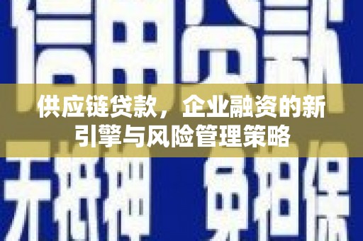 平陆供应链贷款，企业融资的新引擎与风险管理策略