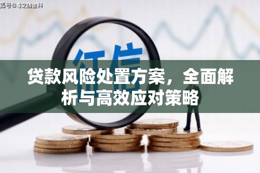 平陆贷款风险处置方案，全面解析与高效应对策略