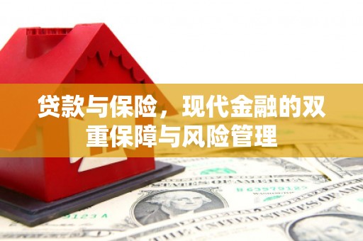 平陆贷款与保险，现代金融的双重保障与风险管理