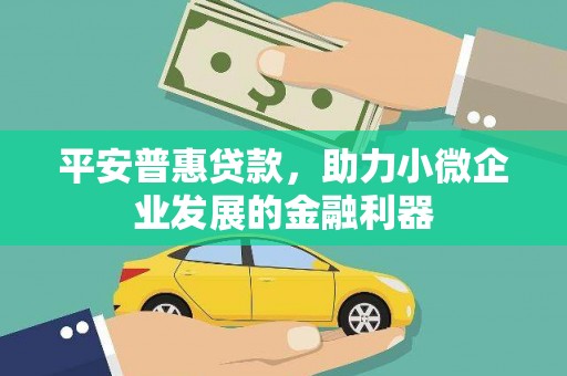平陆平安普惠贷款，助力小微企业发展的金融利器