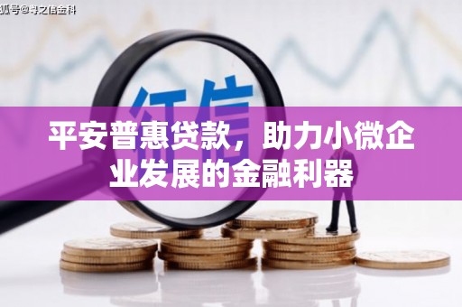 平陆平安普惠贷款，助力小微企业发展的金融利器