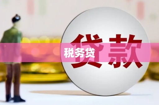 平陆税务贷
